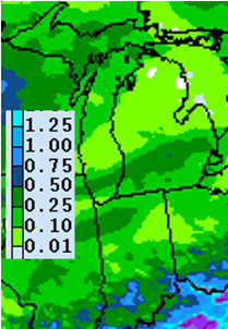 Precipitation forecast 